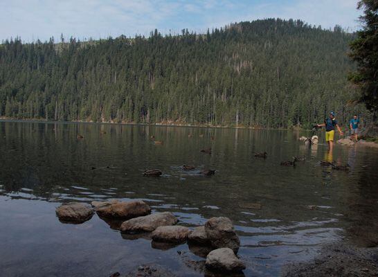 Rock Point běžecká výzva „napříč Šumavou" - Objevujeme trasu