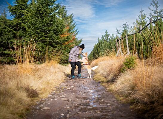 Stezka Českem: Niki na etapě v Orlických horách