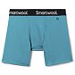 Boxeri SMARTWOOL M BOXER BRIEF BOXED Man