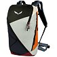 Rucsac SALEWA PUEZ 25L BP Man