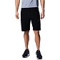 Pantaloni scurți COLUMBIA TRIPLE CANYON II SHORT Man