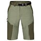 Spodenki  DIRECT ALPINE FREMONT SHORTS Man