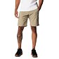 Spodenki COLUMBIA SILVER RIDGE UTILITY CARGO SHORT Man