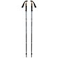 Trekking-faltstöcke BLACK DIAMOND TRAIL VISTA FLZ TREKKING POLES Uni