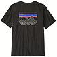Pánské tričko PATAGONIA M 73 SKYLINE T-SHIRT