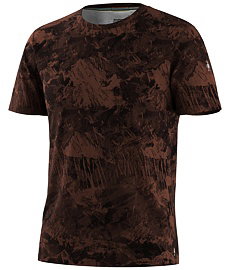 Pánské tričko SMARTWOOL M MERINO SHORT SLEEVE TEE BOXED
