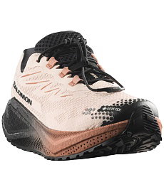 Pánské běžecké boty SALOMON AERO BLAZE 4 GRVL GTX