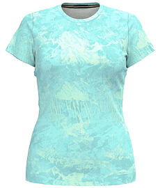 Koszulka damska SMARTWOOL W MERINO SHORT SLEEVE TEE BOXED Lady