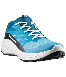 Pánské trailové boty SALOMON ALPHAGLIDE