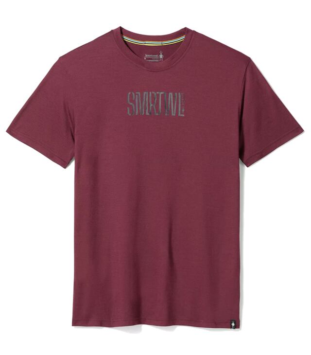 Tricou SMARTWOOL SMARTWOOL ACTIVE LOGO GRAPHIC SS TEE Man