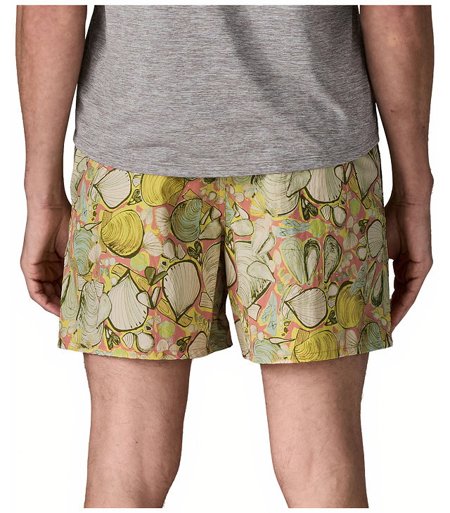 Pánské kraťasy PATAGONIA M BAGGIES SHORTS-5 IN. Man