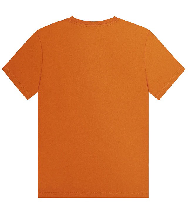 Tricou Picture  CUSTOM VAN S/S Man