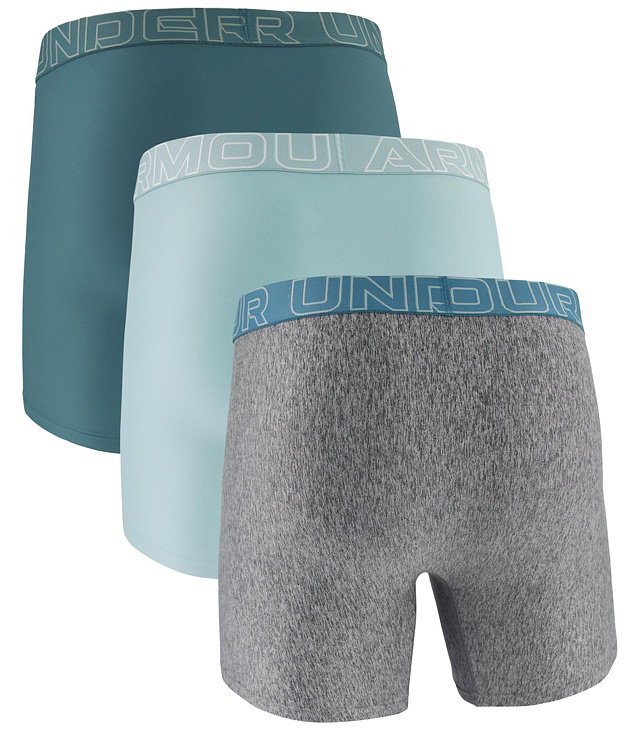 Spodní prádlo UNDER ARMOUR UA PERFORMANCE TECH - SOLID 6 Man