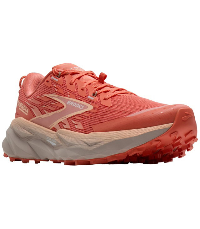 Dámské běžecké boty BROOKS CASCADIA 19 W Lady