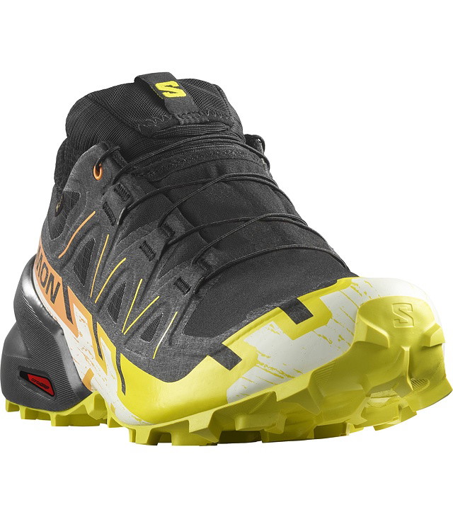 Muške tenisice za trčanje SALOMON SPEEDCROSS 6 GTX