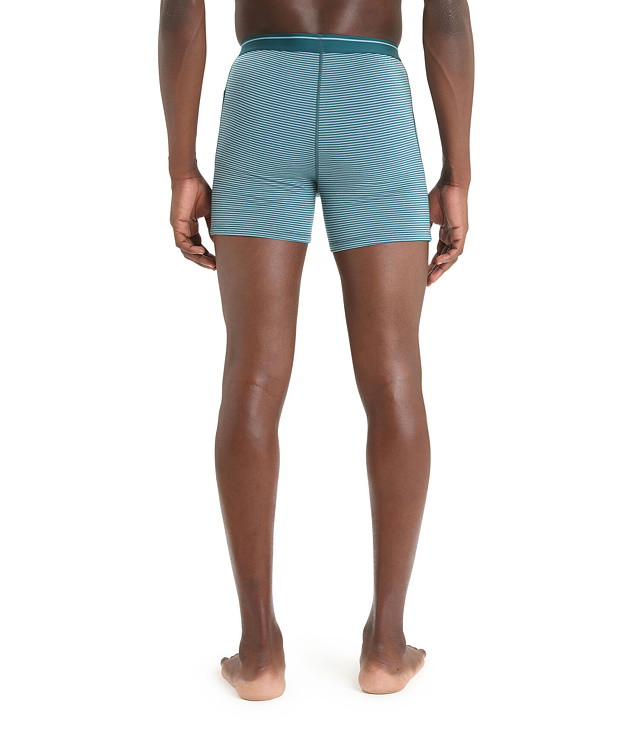 ICEBREAKER M ANATOMICA BOXERS férfi alsónadrág