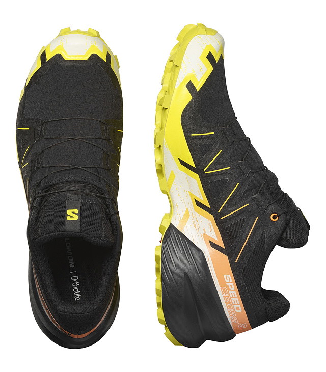 Muške tenisice za trčanje SALOMON SPEEDCROSS 6 GTX