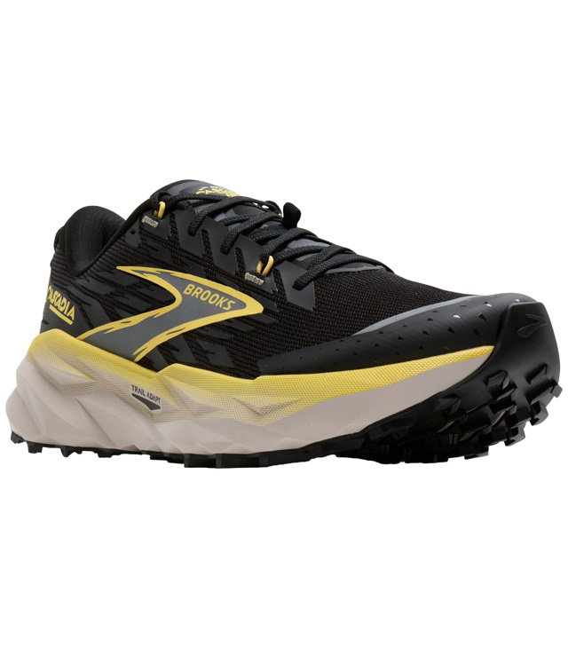 Pánské běžecké boty BROOKS CASCADIA 19 M Man