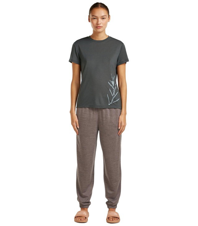 Dámské tričko ICEBREAKER W MER CORE SS TEE PANAX