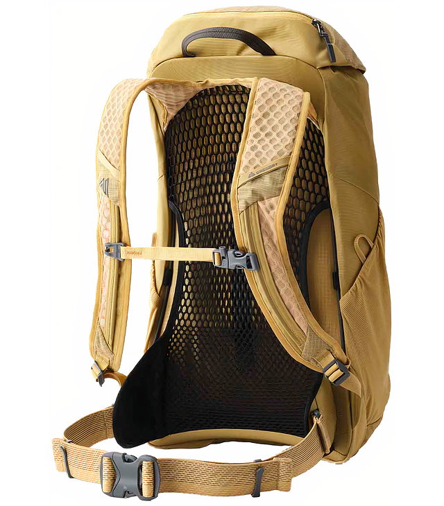 Batoh GREGORY ARRIO 22