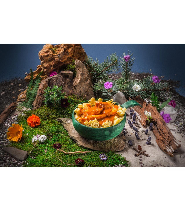 Výživa ADVENTURE MENU LW KUŘE NA PAPRICE S TĚSTOVINAMI KID