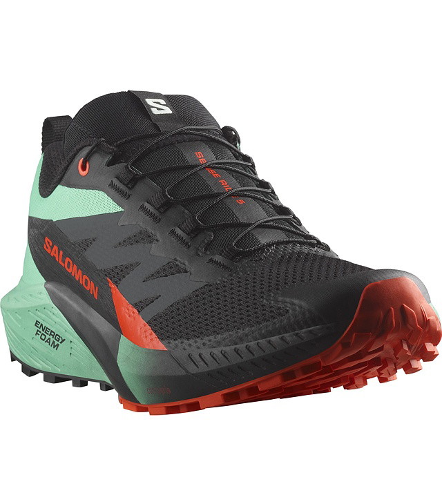 Muški tenisice za trčanje SALOMON SENSE RIDE 5, black/bay/cherry tomato