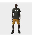 Koszulka SALEWA SOLIDLOGO DRY M T-SHIRT Man