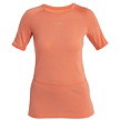 Majica kratkih rukava ICEBREAKER W 125 ZONEKNIT SS CREWE Lady