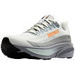 Cipele BROOKS GHOST 17 GTX M Man