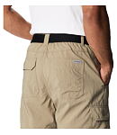 Spodenki COLUMBIA SILVER RIDGE UTILITY CARGO SHORT Man