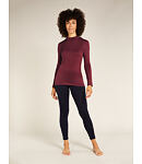 Triko ICEBREAKER W 260 TECH LS TURTLENECK Lady