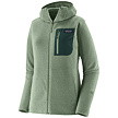Hanorac de damă PATAGONIA W R1 AIR FULL-ZIP HOODY