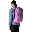 Rucsac PATAGONIA BLACK HOLE PACK 25L Uni