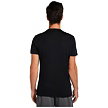 Pánské tričko ICEBREAKER M MER 125 COOL-LITE SPHERE III SS TEE
