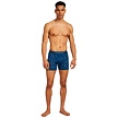 Muške bokserice ICEBREAKER M MER 150 ANATOMICA BOXERS SKI DAY