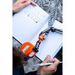 Set PETZL VIA FERRATA SCORPIO EASHOOK SW