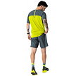 Pánské běžecké kraťasy DYNAFIT ALPINE SHORTS M