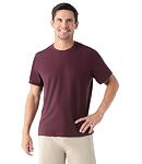 Koszulka SMARTWOOL M PERFECT CREW TEE Man