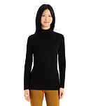 Triko ICEBREAKER W 260 TECH LS TURTLENECK Lady