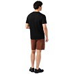 Tričko SMARTWOOL M ACTIVE SHORT SLEEVE Man