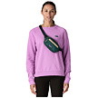 Borsetă PATAGONIA TERRAVIA MINI HIP PACK Uni
