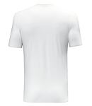 Tricou SALEWA PURE BUILDING DRY M T-SHIRT Man