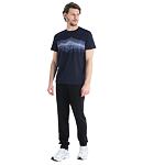 Tričko ICEBREAKER MERINO CORE SS TEE COOK REFLECTED Man