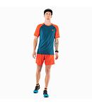 Tričko DYNAFIT ALPINE PRE M S/S TEE Man, mallard blue/4490